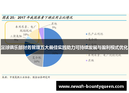 足球俱乐部财务管理五大最佳实践助力可持续发展与盈利模式优化